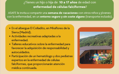 Campamento ASAFE verano 2026